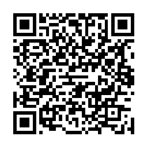 凤凰血脉……已经是继承了母亲的血脉吧……按照阎影所说二维码生成