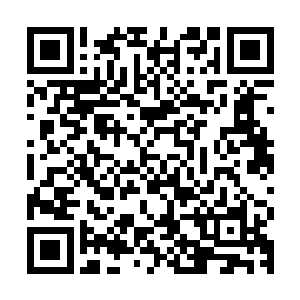 凤小熊看着已经晕过去的双翼海狮兽瞬间明白了娘亲为何这么做二维码生成