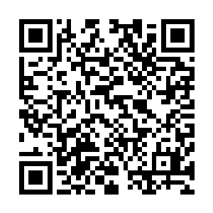 凤羽珩就在众人的注视下亲手将笼子上挂着的锁给拿了下来二维码生成