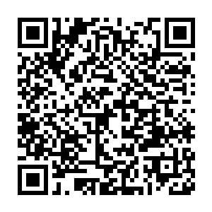 凤舞的这个金乌计划原本方案是准备等十个金乌转生体都自然完成二维码生成