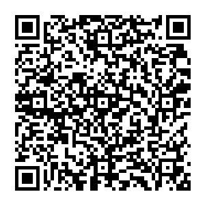 凭他手中的这把由普通凡铁打造的铁剑根本就无法和卡迪云手中那拥有强大攻击力的圣兵硬碰二维码生成