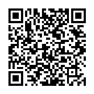 凭们的本事想要在神界生存下去也不是什么困难的事情二维码生成
