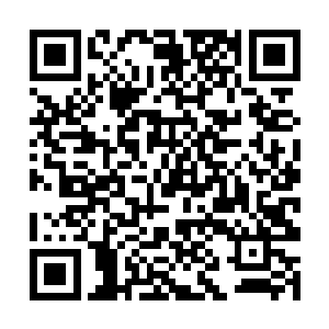 凭借着他的恐怖实力和身体之前就接受过的寒冰改造二维码生成
