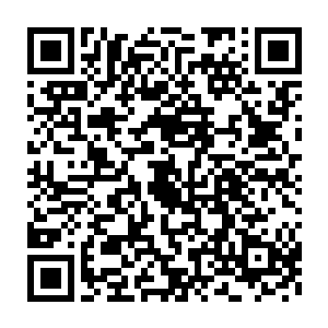 凭借着自己的这具泛人型生物文明干涉界面的无可匹敌而恣意妄为二维码生成