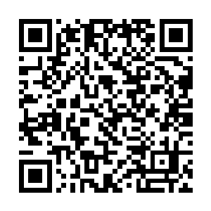 凭妖王你的实力挡我全力造出的土人应该不算什么吧二维码生成