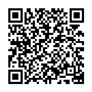 凭这块令牌整个蒙城地区除三处禁区外可去任何地方畅通无阻二维码生成
