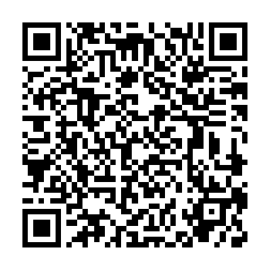 凯撒也确实让他付出了惨重的代价――本世界本来通过的试炼成绩二维码生成