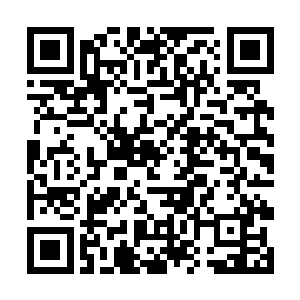 凯瑟琳的桀骜不驯在其职业生涯里有数不胜数的标志二维码生成