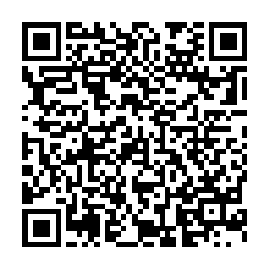 出现在了小湖边了……距离秦方他们悬空的身体也只有不到两米远二维码生成