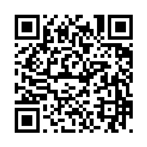 出现在他们眼前的是一片茂密的山林二维码生成