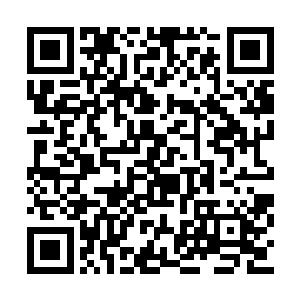 出现在红旗正中央的是一条张牙舞爪的金色巨龙二维码生成