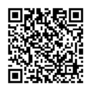 出现红晕自然是因为被林凡某个地方顶住了重要部位二维码生成
