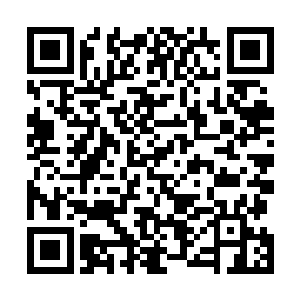出生到修炼到飞升到眼前的一幕幕忽然全都从脑海里闪过二维码生成