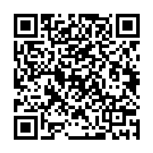 出租车司机说着说着从一开始的激动又变成了患得患失二维码生成