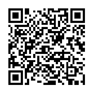 刀家总不会没脸没皮的去对付衣禅尹若冰苏若雪她们吧二维码生成