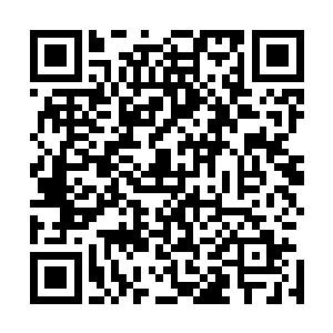 刀疤脸和其他的雇佣兵就靠这一段走廊坚持到最后的五分钟二维码生成