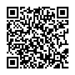 刀疤虽然相貌远不及这少女――起码在服用复颜丸之前是这样二维码生成