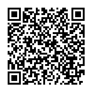 分出精神力引导着左臂之中的真元通过海绵体上裂开的小口进入骨髓二维码生成