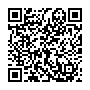 分别是可以斜背在身上的长皮袋和可以系在腰间的腰包二维码生成