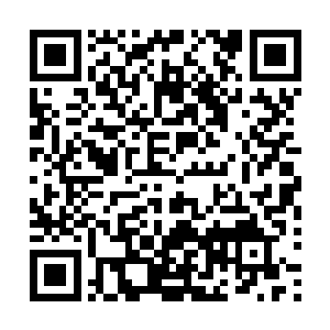 刑部侍郎丘橓和锦衣卫指挥使张尊尧由大批锦衣官校簇拥着二维码生成
