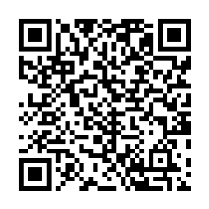 刘延庆在渡口也生生的守着那些汴梁拨来的犒赏财帛一天二维码生成