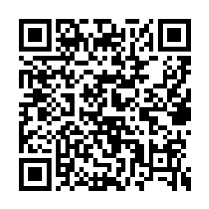 刘李氏默默的走在这雕栏玉砌如画般的景致之中二维码生成