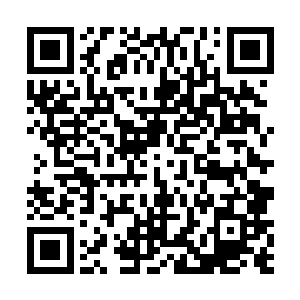 则是一颗rǔ白sè的无比圆润的散发着淡淡的荧光的丹药二维码生成