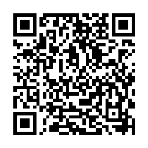 则是得益于他之前为了去皇宫当中挖掘出隐藏的秘密二维码生成