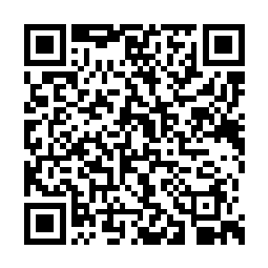 则轻柔的将一片银白的蚕丝巾递到了男子的手中二维码生成