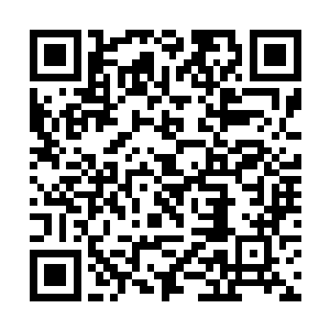 刚从外面回来的水心柔在经过秘书室的时候被叫住了二维码生成