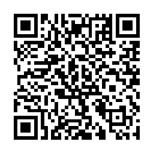 刚刚从京城致仕还乡的理學宗师姚白峰担任首任院主二维码生成