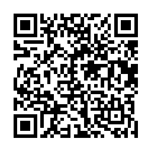 刚刚冲进去的张铁在城堡的门口遇到了科林上尉和哲罗姆二维码生成