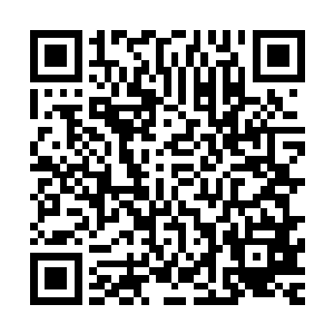 刚刚医生初步判断是老爷后脑的那块小碎骨发生了受迫性位移二维码生成
