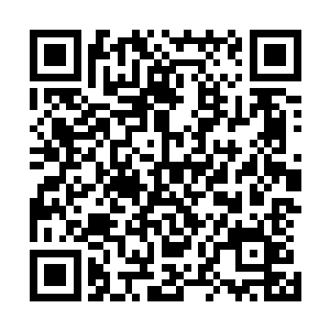 刚刚因剑尘拥有可以匹敌圣灵王的战力而得到的喜悦和激动二维码生成