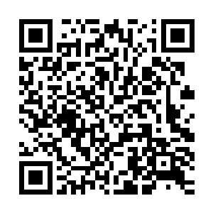 刚刚局部起了龌龊的正是柯尔顿军事学院和霍西军事学院的新生二维码生成