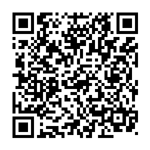 刚刚自己在祭祀台的时候就看见了他们师徒两个人之间的关系密切了二维码生成