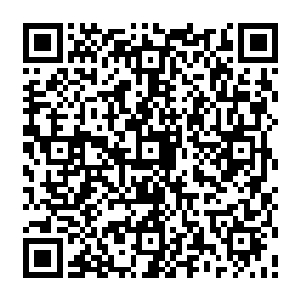 刚刚还趾高气扬宣布胜利的辛天仇辛城主这刻在唐劫手中竟是被打得全无反击之力二维码生成