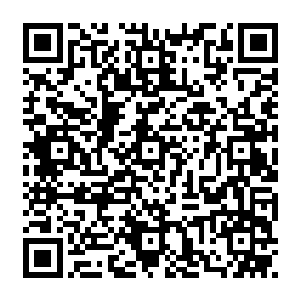 刚在甲板上忙活完了的水手们一进了小餐厅就闻到了一股沁人心脾淡淡的鱼肉香味儿二维码生成