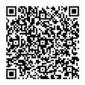 刚才也许是因为这片山壁和那多罗天神树挥发出的气体阻住了这甬道深处渗出的一股威压之气二维码生成