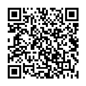 刚才他对于自己是那么的落寞自己何必为了他的死去二维码生成