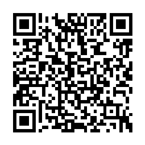 刚才仿佛砍瓜切菜一样击杀了双头黄金狮的半神二维码生成