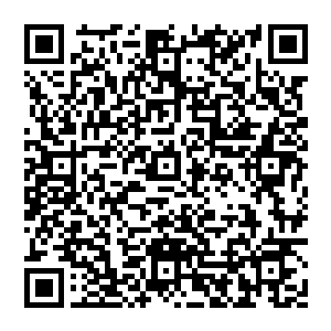 刚才夏伯阳被连接刃削的一塌糊涂的大腿在顷刻间的恢复完好让他的好奇心被彻底调动了起来二维码生成