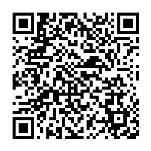 刚才就不会被我顺利转移注意力……但女娲的警告又是为了什么呢二维码生成