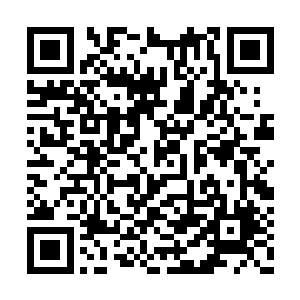 刚才就是任林枫在打电话时向宋冬发透了点消息二维码生成