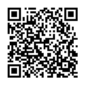 刚才幽冥门和北宫世家的人也在商量到底派一个什么样的人上去二维码生成