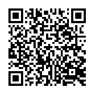 刚才开枪袭击江少游的那些特警们就一个不落的全都扑倒在地二维码生成