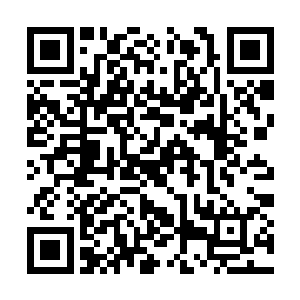 刚才我们来这里帮助你们排查可能隐匿的非法枪支二维码生成