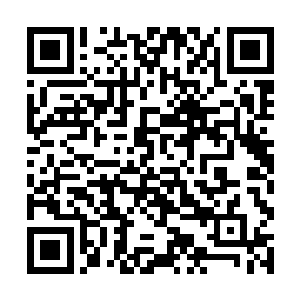 刚才本尊和分身同时使出青龙九变也还是比他差一筹二维码生成