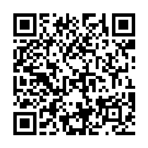 刚才气焰还很嚣张的金理成顿时便如杀猪般惨叫了起来二维码生成