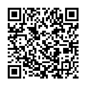 刚才的时候他可是见识到了杨戬两个人的恐怖的实力二维码生成